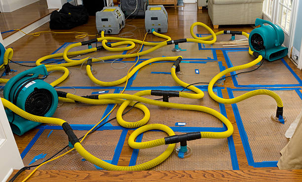 Professional Emergency Water Removal technician working in Jacksonville, TX